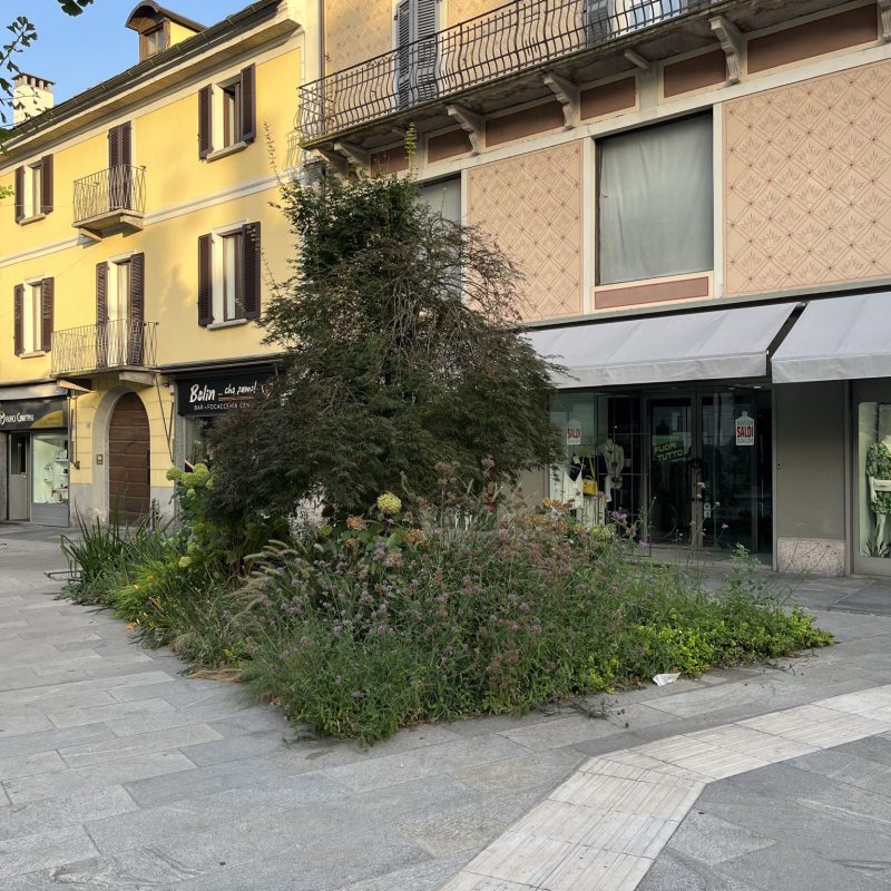 progettazione paesaggistica verde pubblico (2)