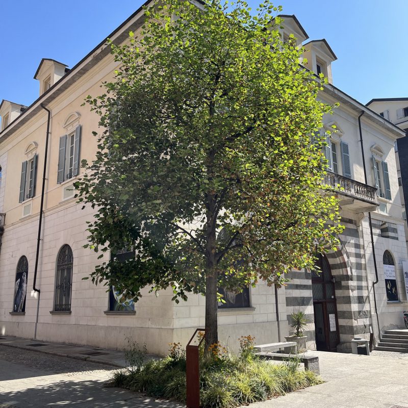 realizzazione aiuola palazzo san francesco